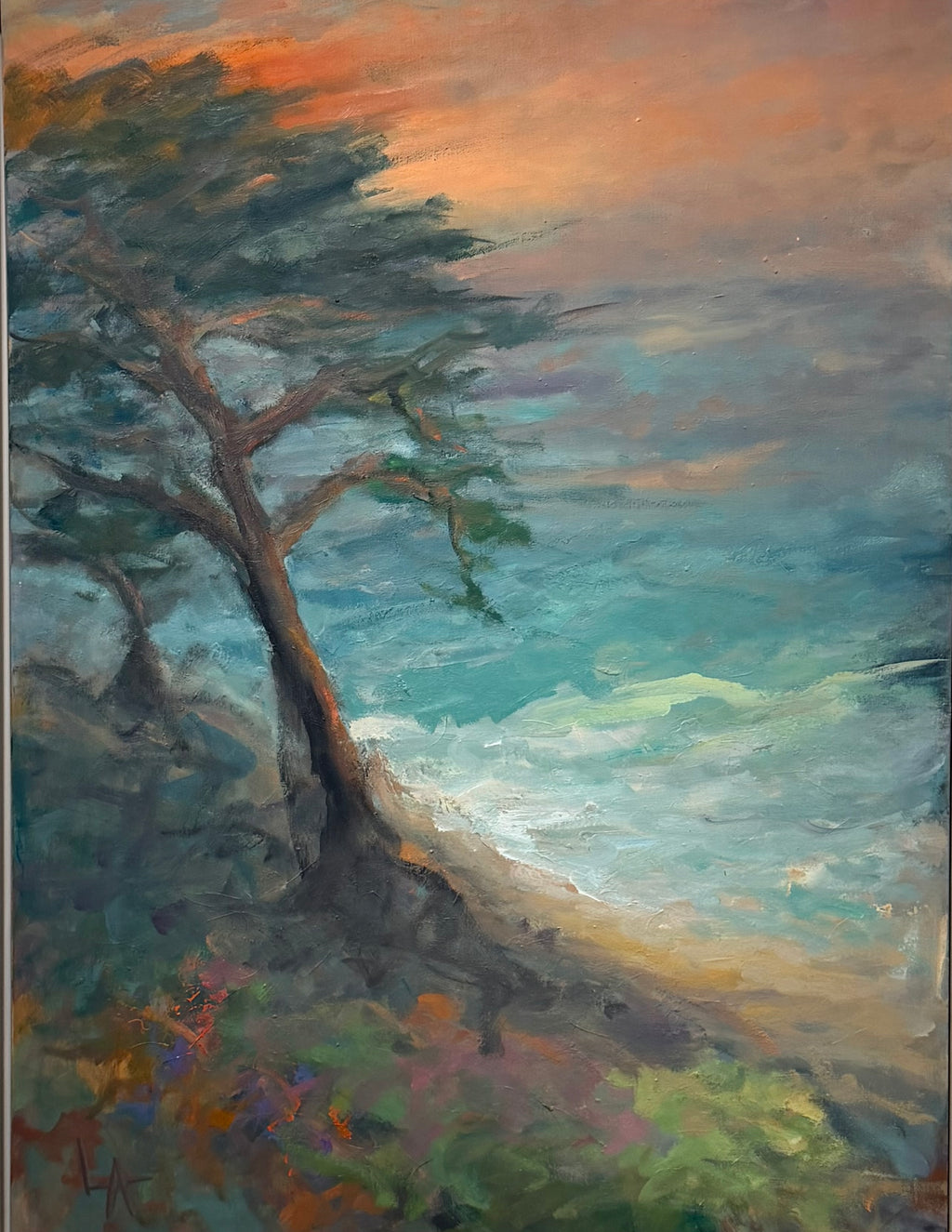 Cypress at Last Light