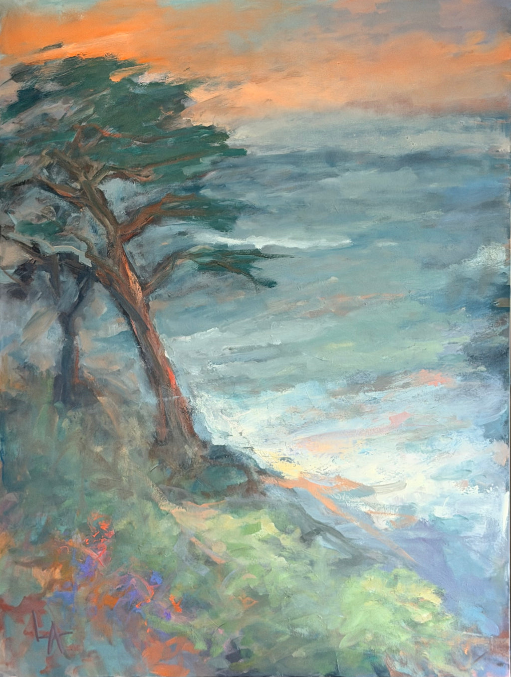 Monarch Cypress