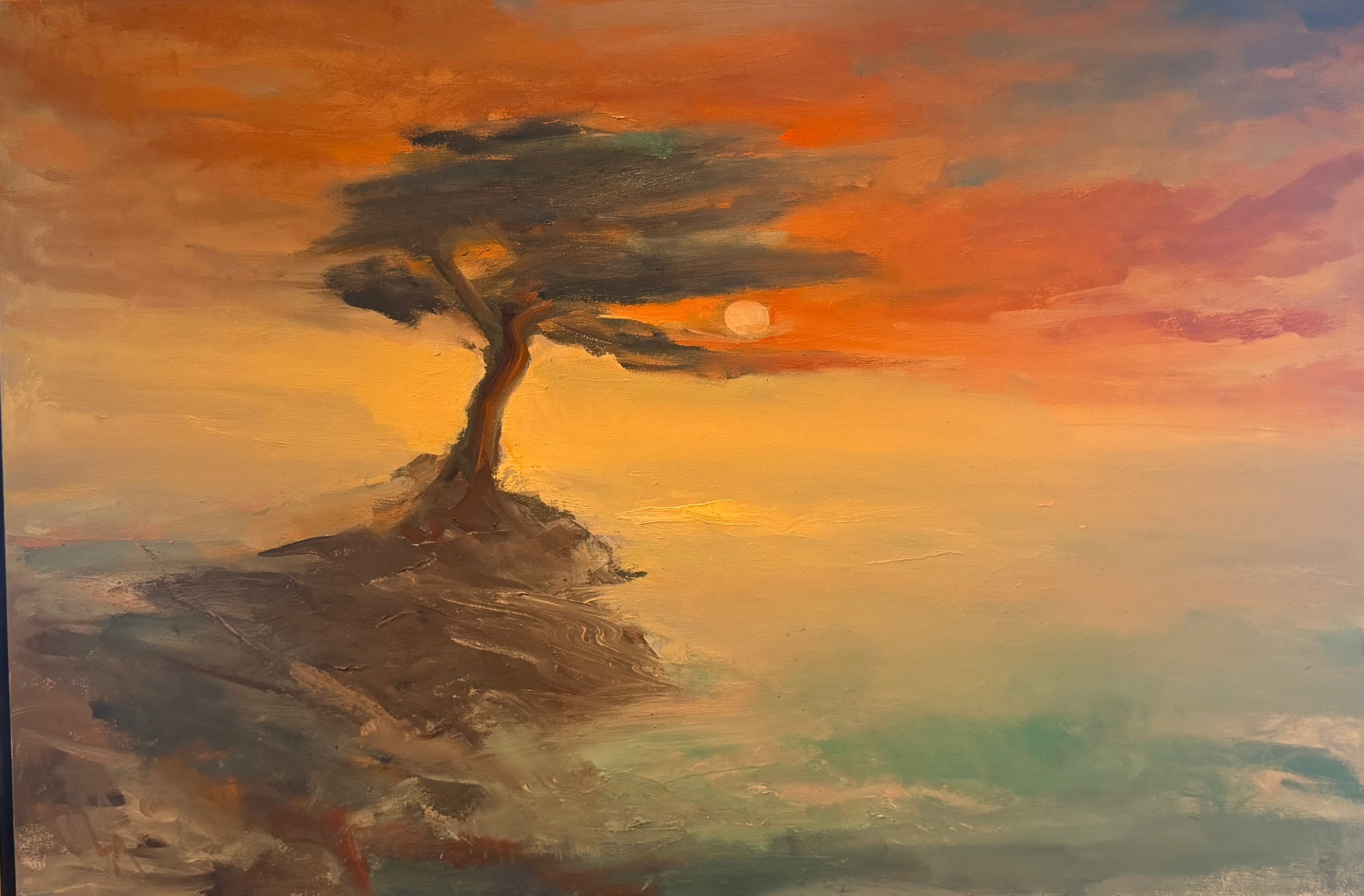 Windswept Cypress