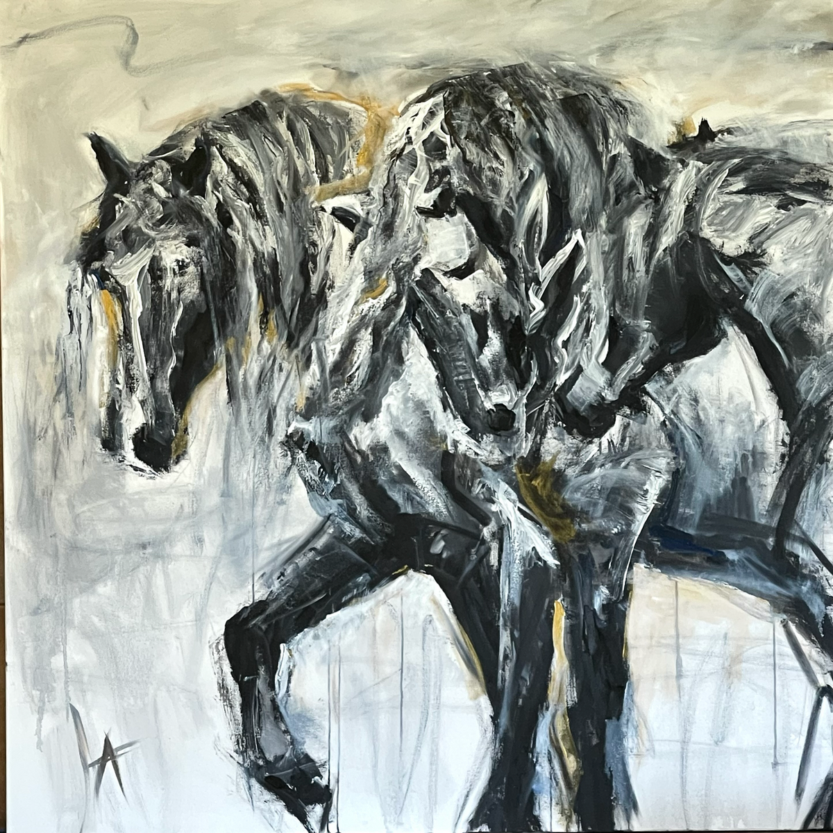 Friesian Family